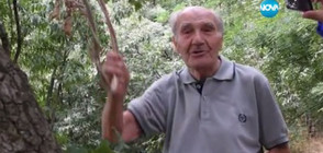 96-годишен мъж скача и тича по кози пътеки (ВИДЕО)