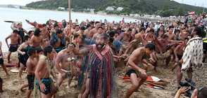 ВПЕЧАТЛЯВАЩ РЕКОРД: 7700 новозеландци изпълниха маорския танц хака (СНИМКИ)