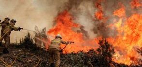Албания се бори с 16 големи пожара