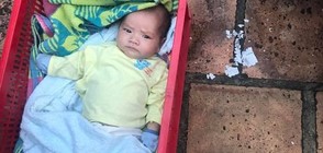 Майка изостави бебето си в кашон, братчето му отказва да се отдели от него (ВИДЕО)