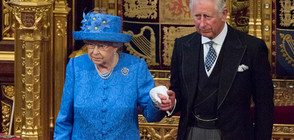 Шапката на Елизабет II "проговори" за Brexit (СНИМКИ)