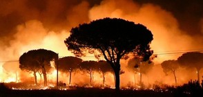 Девет пожарникари са ранени в два пожара в Португалия