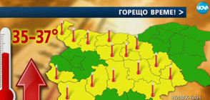 Жълт код за опасни горещини в 14 области в страната