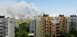 Голям пожар до блокове в Плевен (ВИДЕО+СНИМКИ)