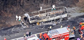Извадени са 11 тела от изгорeлия автобус в Германия (ВИДЕО+СНИМКИ)