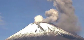 Зрелищно изригване на вулкан в Мексико (ВИДЕО)