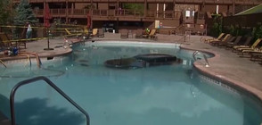 Възрастна жена паркира колата си в басейн (ВИДЕО)