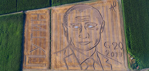 Художник превърна нива в портрет на Путин (ВИДЕО)