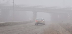 Синоптик за инцидентите на "Тракия": Мъгла през лятото - почти невъзможно