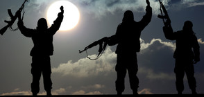 ООН: Потокът от европейци в ИДИЛ рязко намаля