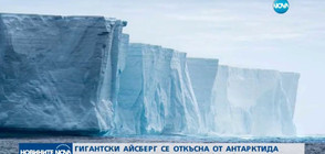 Гигантски айсберг се откъсна от Антарктида (ВИДЕО)