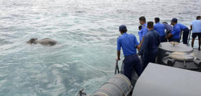 Флотът на Шри Ланка спаси слон в морето (ВИДЕО)