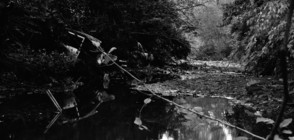 Микробус с англичани падна в река Искър, жена загина