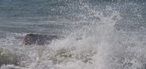 Морето изхвърли тялото на 11-годишното дете край „Слънчев бряг”