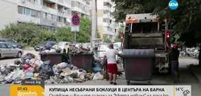 Купища несъбрани боклуци в центъра на Варна (ВИДЕО)