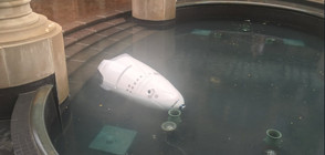 Американски робот-полицай се удави във фонтан