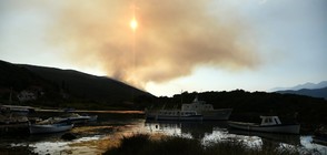 Черна гора продължава борбата с горските пожари (ВИДЕО+СНИМКИ)