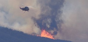 Извънредно положение в провинция в Канада заради горски пожари