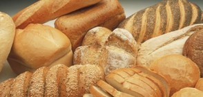 Ще поскъпне ли хлябът въпреки добрата реколта на пшеница?