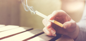 Експерти: Всеки трети възрастен и всяко пето дете пушат