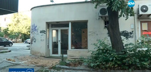 Жената, ударена от паднало дърво – все още в тежко състояние