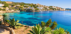 Затвориха испански плаж заради скорпиони