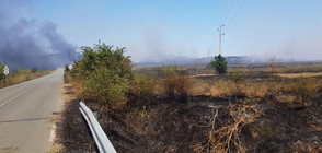 Пламъци обхванаха голяма площ край вилна зона в Бургаско (ВИДЕО+СНИМКИ)