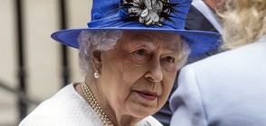 Английската кралица пие по 4 коктейла на ден
