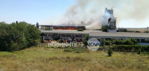 Пожар пламна в кравеферма край село Поповица (ВИДЕО)