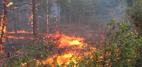 ДЕСЕТКИ ИЗГОРЕЛИ ПОСТРОЙКИ: Хората в Изворище обвиняват пожарната