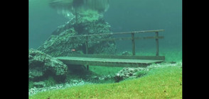 Сняг превръща парк в подводна атракция (ВИДЕО)