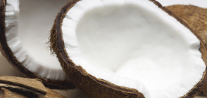 Хиляди се редят, за да им … разбият кокосов орех в главата (ВИДЕО)