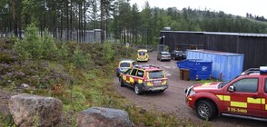 Мечка уби служител на зоопарк в Швеция