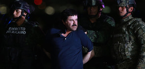 Ел Чапо се оплака от изтезания в американския затвор