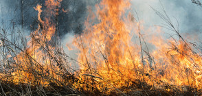 Четири нови огнища на пожари избухнаха в област Хасково (ВИДЕО)