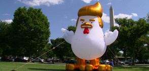 Надуваемо пиле на поляната зад Белия дом (ВИДЕО)