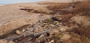 Излизат пробите за мръсотията в морето край Бургас