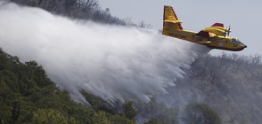Горски пожари опустошиха над 2000 хектара във Франция