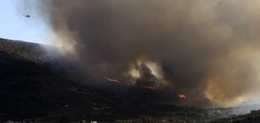 Пожарите край Атина обхванаха десетки километри (ВИДЕО+СНИМКИ)