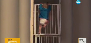 Бебе акробат стана хит в социалните мрежи (ВИДЕО)