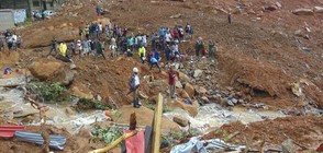 Наводненията в Сиера Леоне взеха над 400 жертви (ВИДЕО+СНИМКИ)