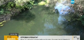 Отровна ли е водата на река Тунджа? (ВИДЕО)