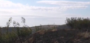 Стотици декари горят в Южна България (ВИДЕО)