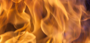 Пожарите в Хасковско още горят