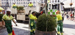 СЛЕД АТАКАТА: Мадрид ще пази пешеходците с бетонни саксии с цветя (СНИМКИ)
