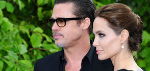 Художничка осъди Анджелина Джоли и Брад Пит