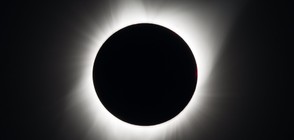 Настъпи пълното слънчево затъмнение над САЩ (ВИДЕО+СНИМКИ)