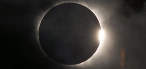 Милиони наблюдаваха слънчевото затъмнение в САЩ (ВИДЕО+СНИМКИ)