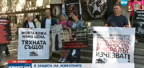 Природозащитници на протест срещу отглеждането на животни за кожи