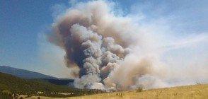 ПОЖАР НАД КРЕСНА: Евакуират хора, хеликоптери гасят огъня (ВИДЕО+СНИМКИ)